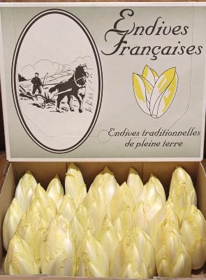 Endives de Pleine Terre - carton de 5kg