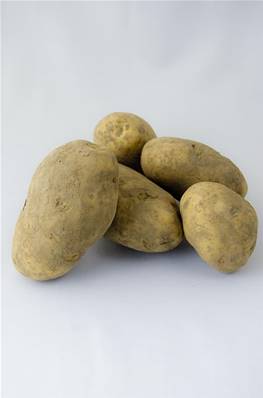 Pommes de terre Bintje brossées non lavées - Achat vrac au kg