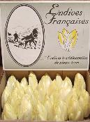 Endives de Pleine Terre en vrac au kg