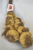 Tresse ail d'Arleux fum  l'ancienne 45 ttes labellis IGP
