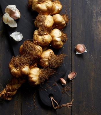 Soupe  lail fum dArleux IGP : recette traditionnelle du Nord pleine de saveurs