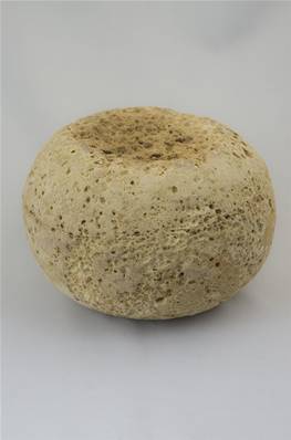 Mimolette Extra Vieille 24 Mois d'Affinage en cave boule entière