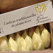 Endives de Pleine Terre - carton de 5kg