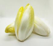 Endives de Pleine Terre en vrac au kg